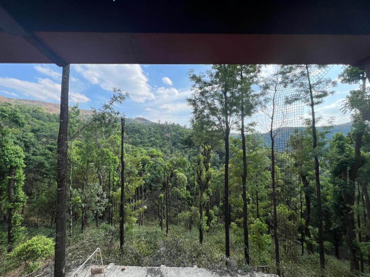 Cloud 9 Homestay Attigundi Esterno foto