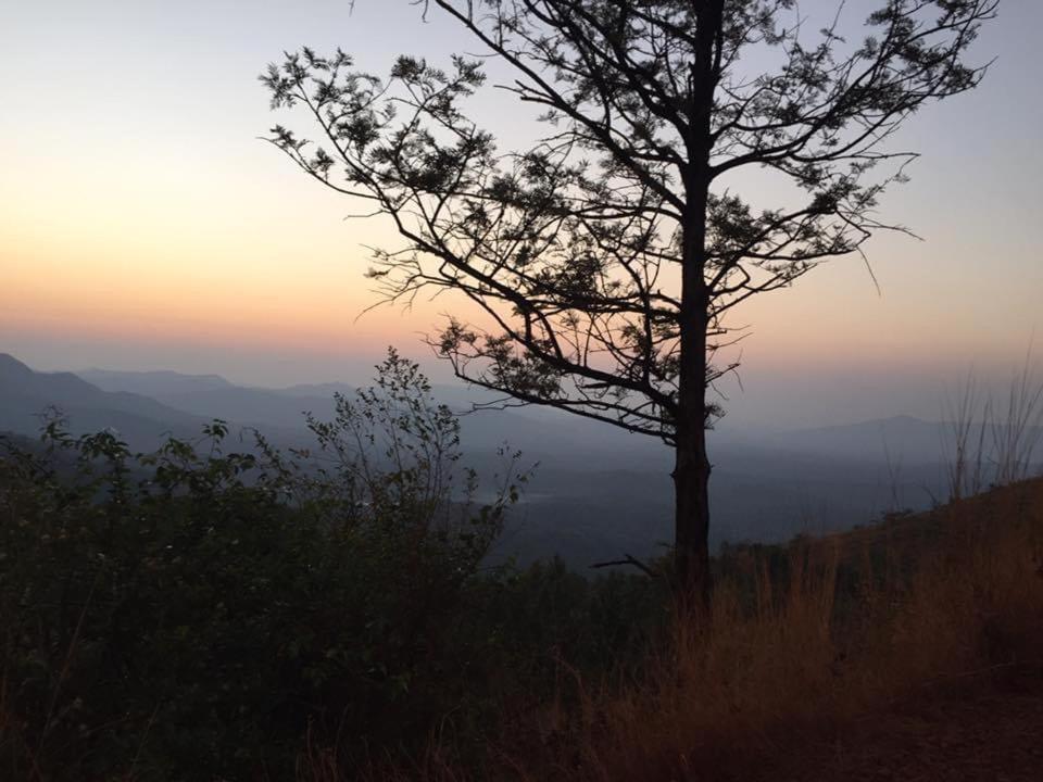 Cloud 9 Homestay Attigundi Esterno foto