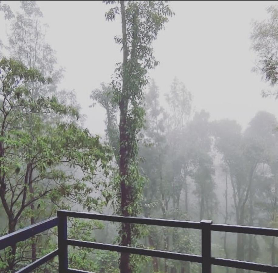 Cloud 9 Homestay Attigundi Esterno foto